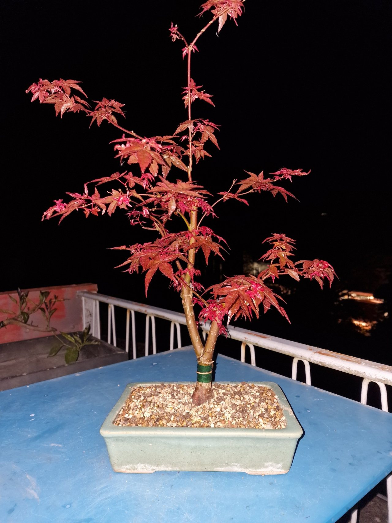 Photo 25