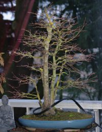 Eigenaarwisseling - 04-01-2015 - Photo 1/1