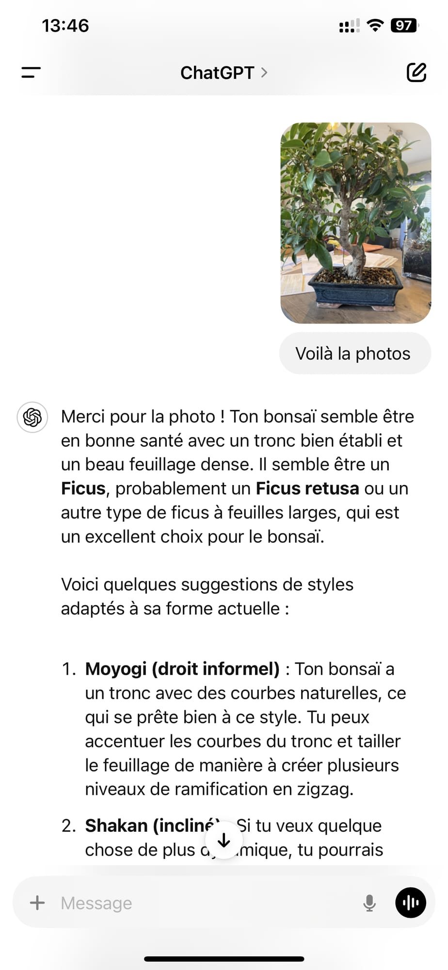 Photo 4