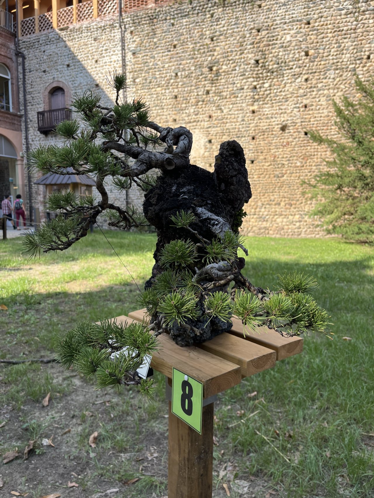 Photo 18