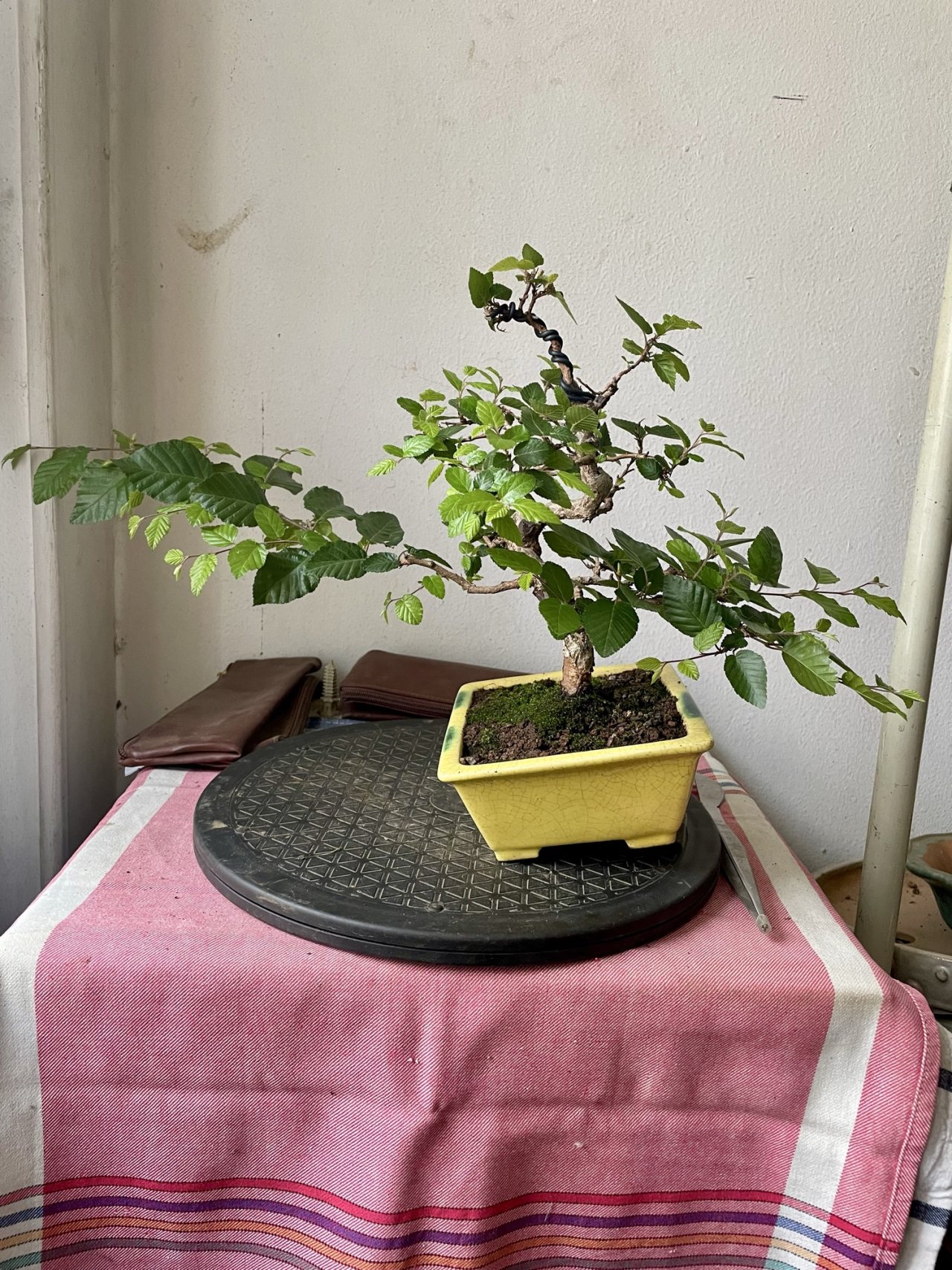 Photo 29