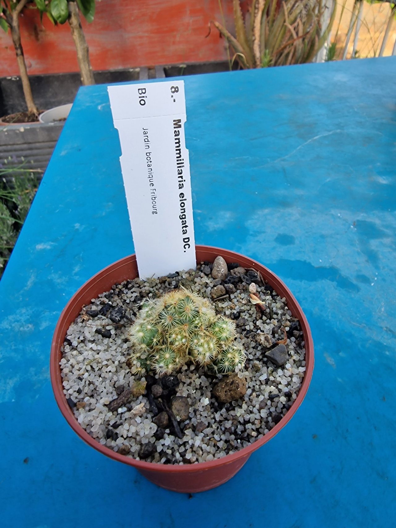 Photo 21