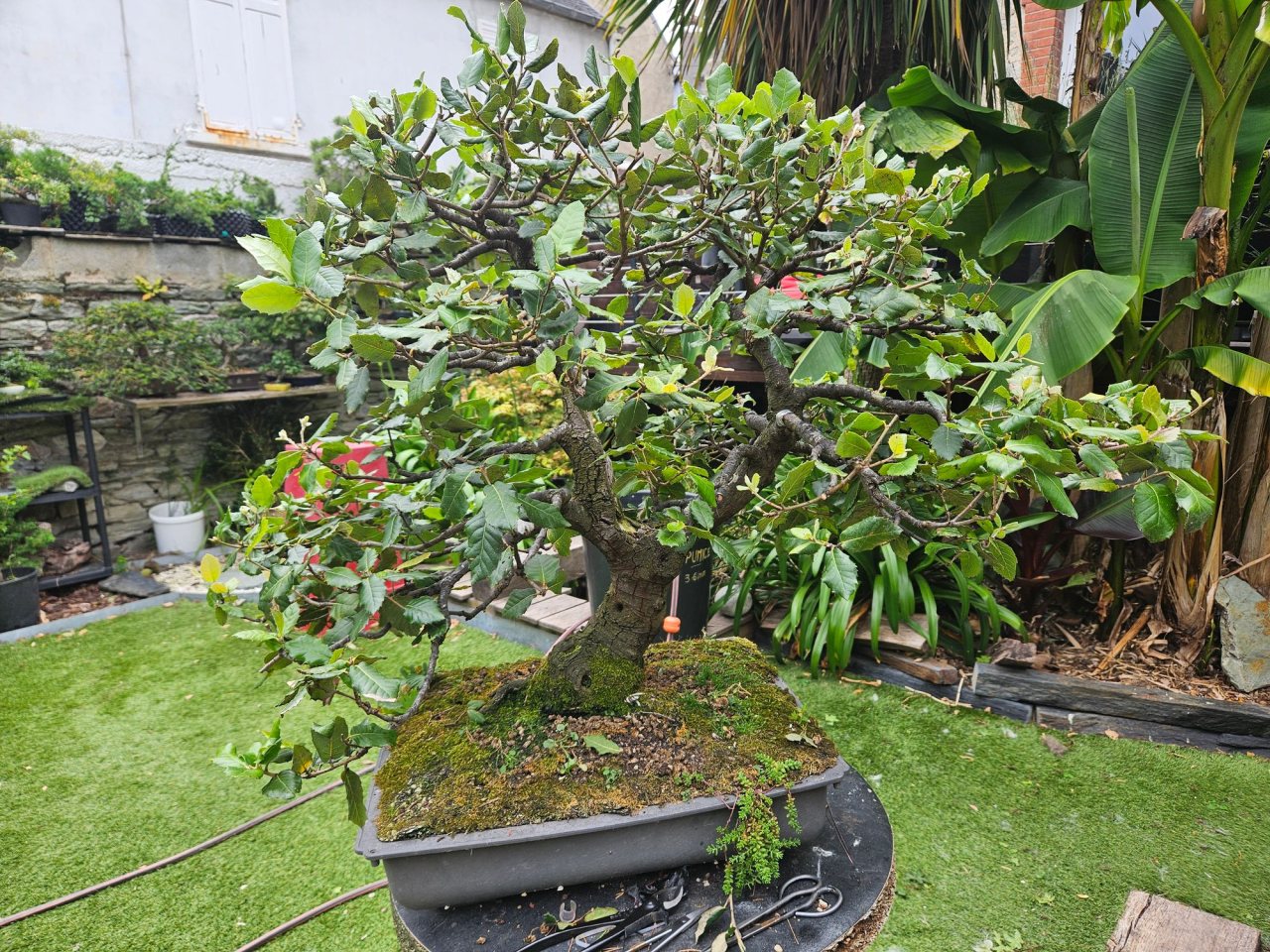 Photo 2