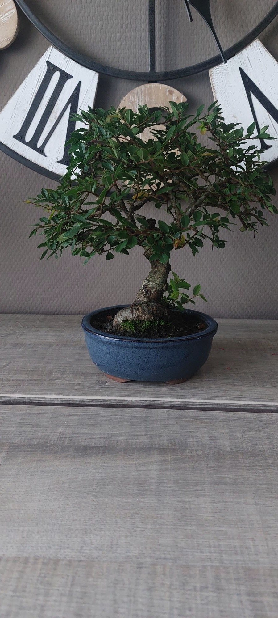 Photo 6