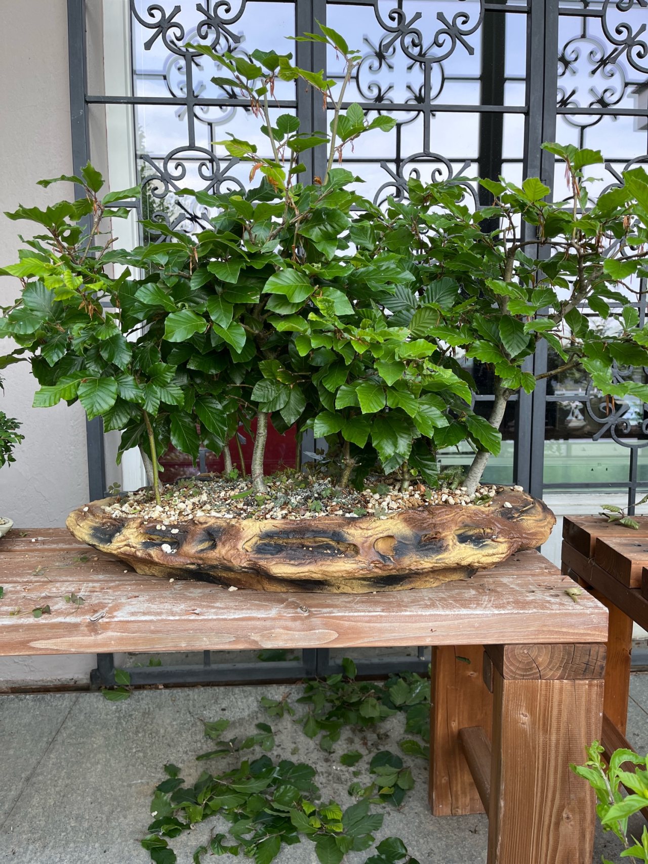 Photo 8