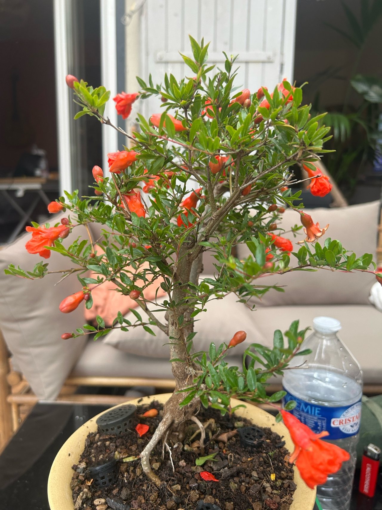 Photo 18