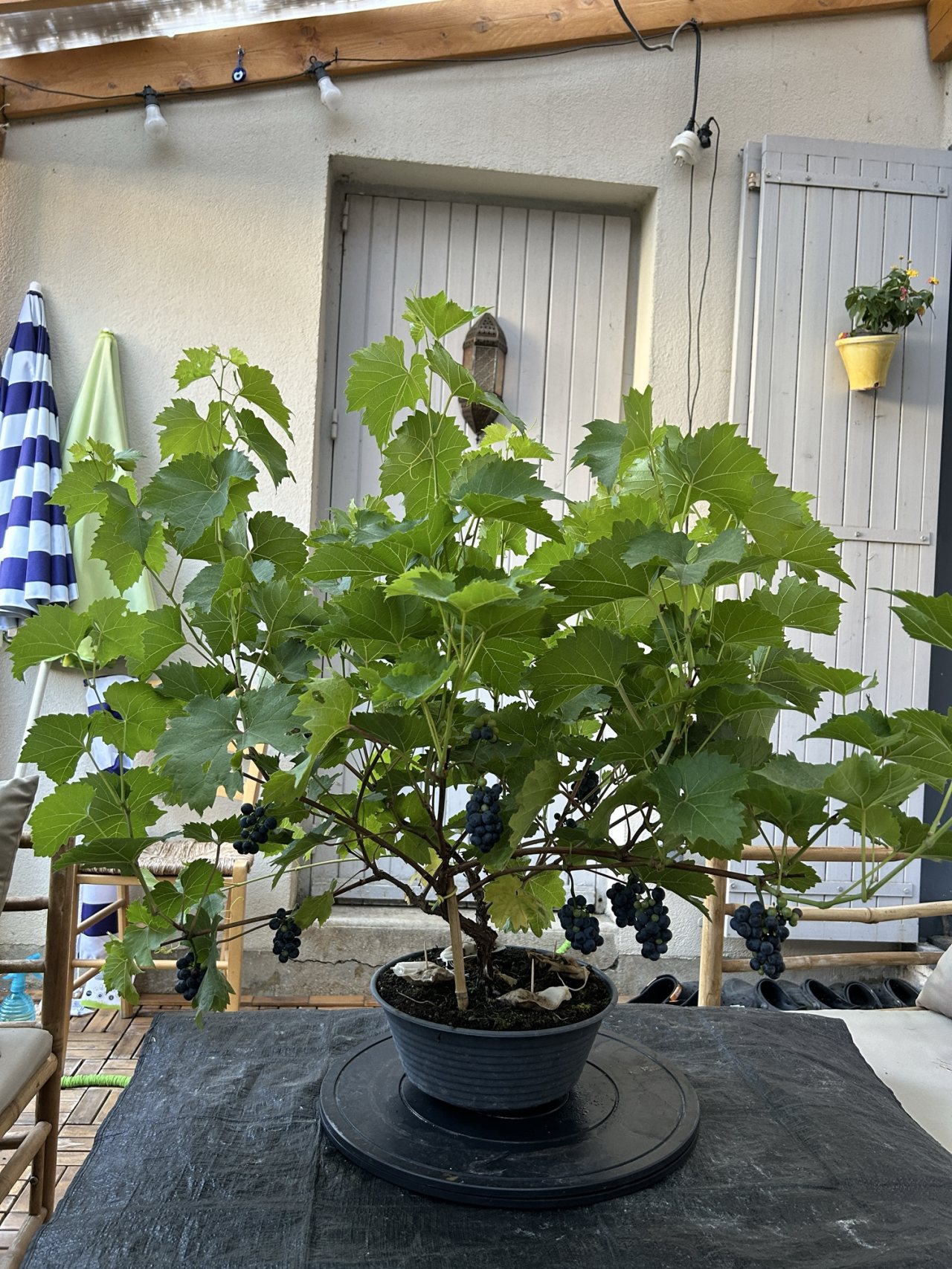 Photo 16