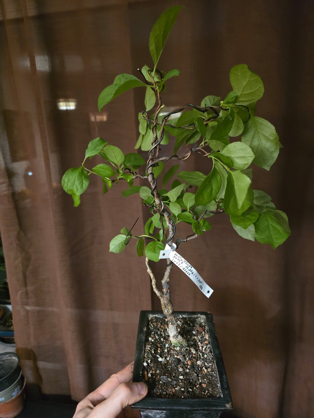 Photo 25