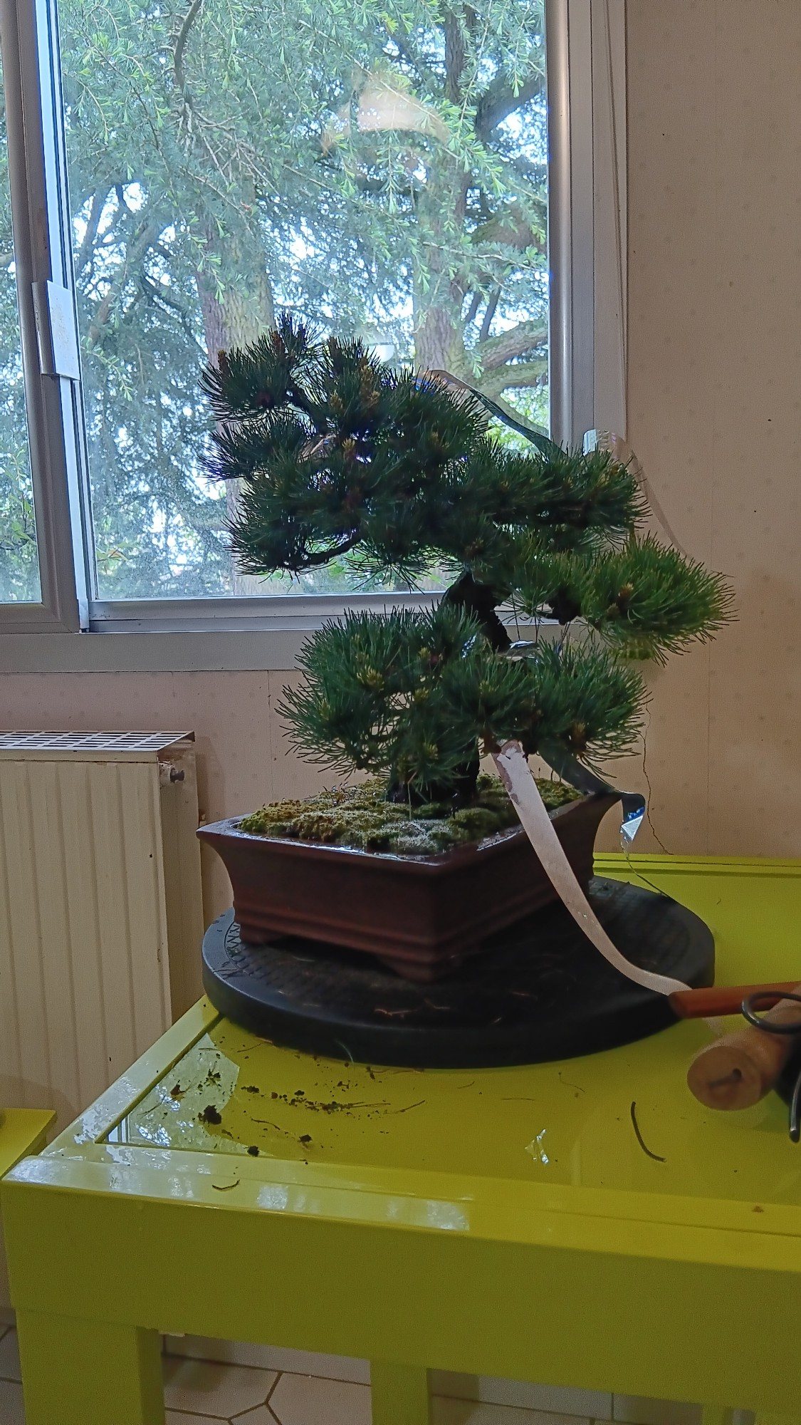 Photo 11