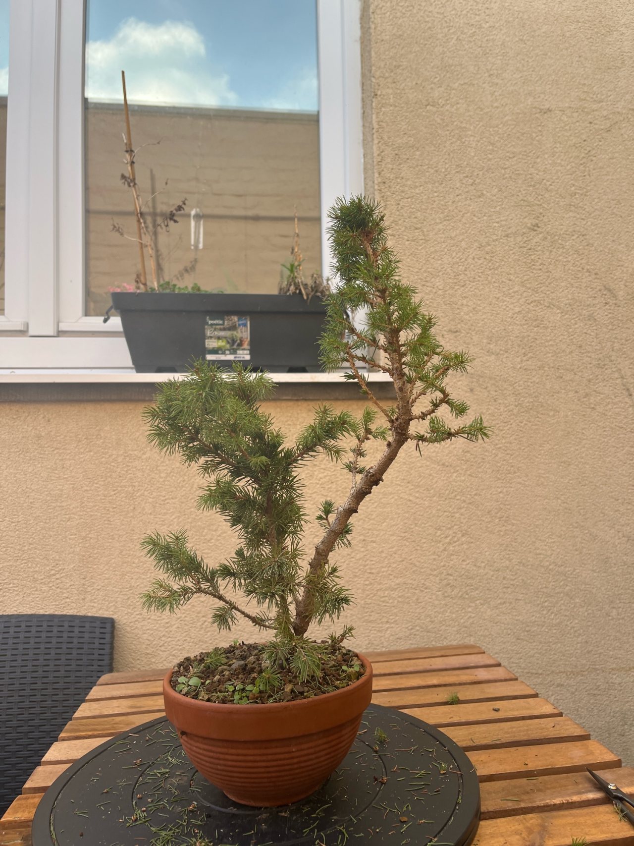 Photo 6
