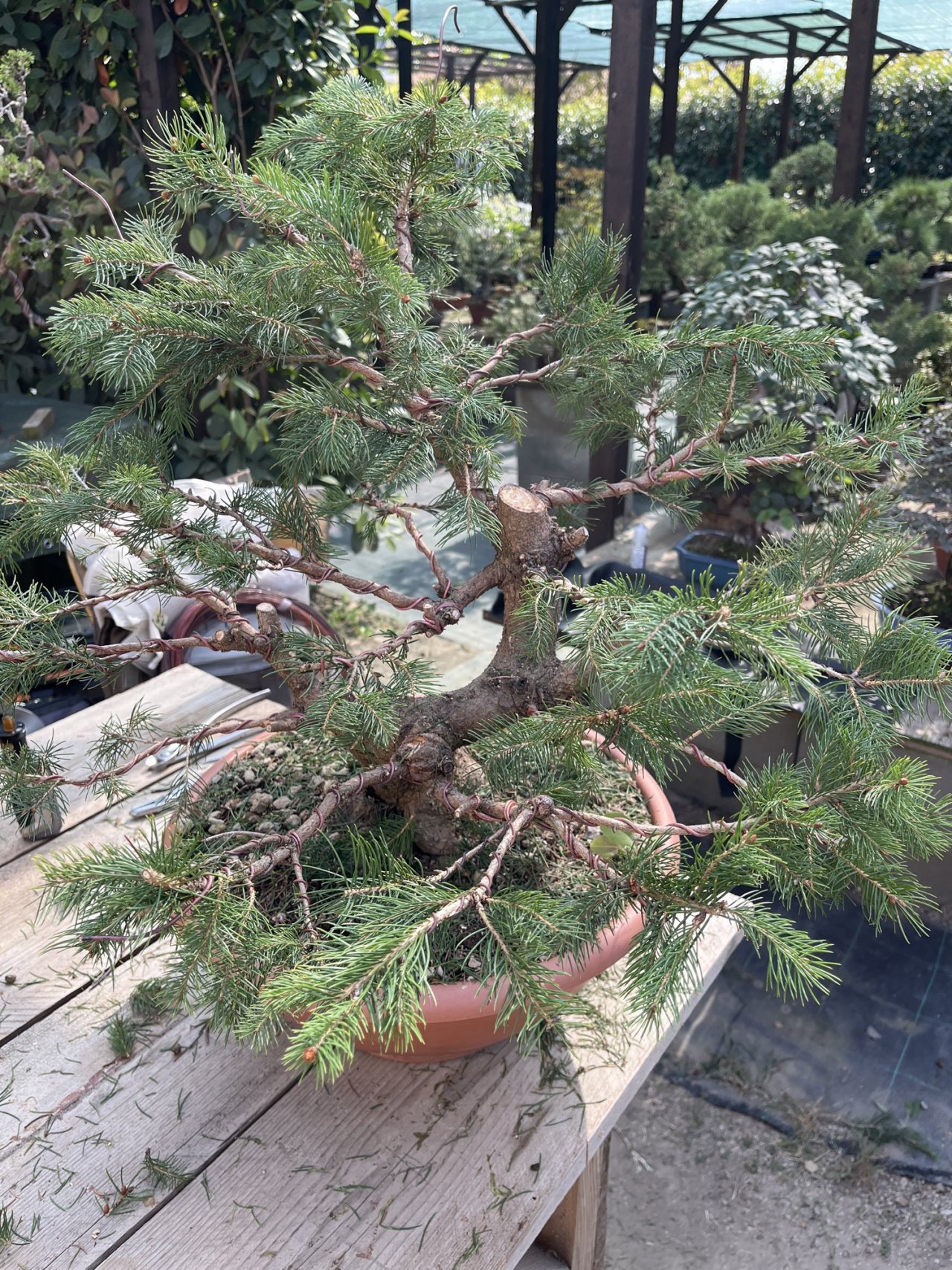 Photo 5