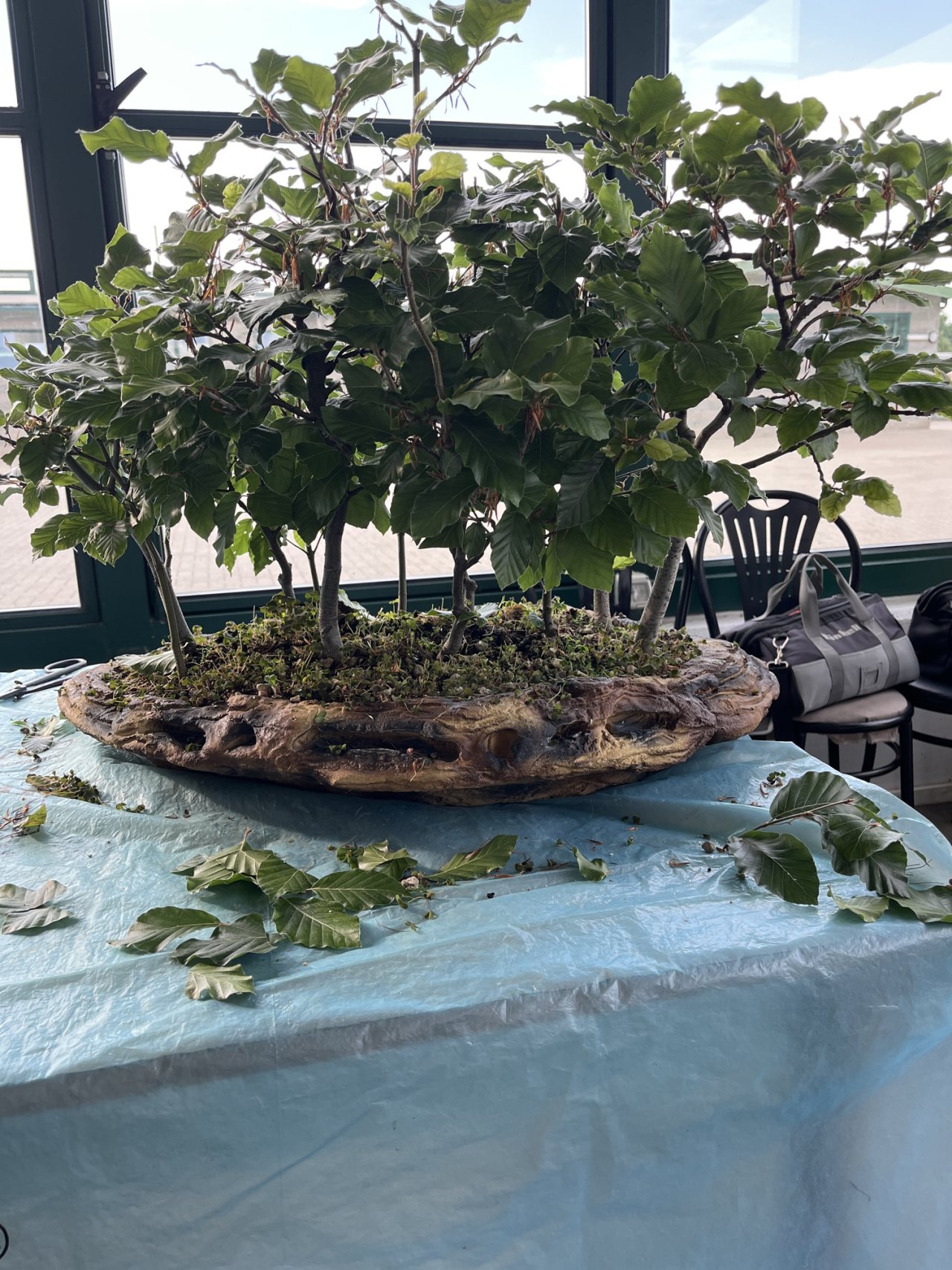 Photo 18
