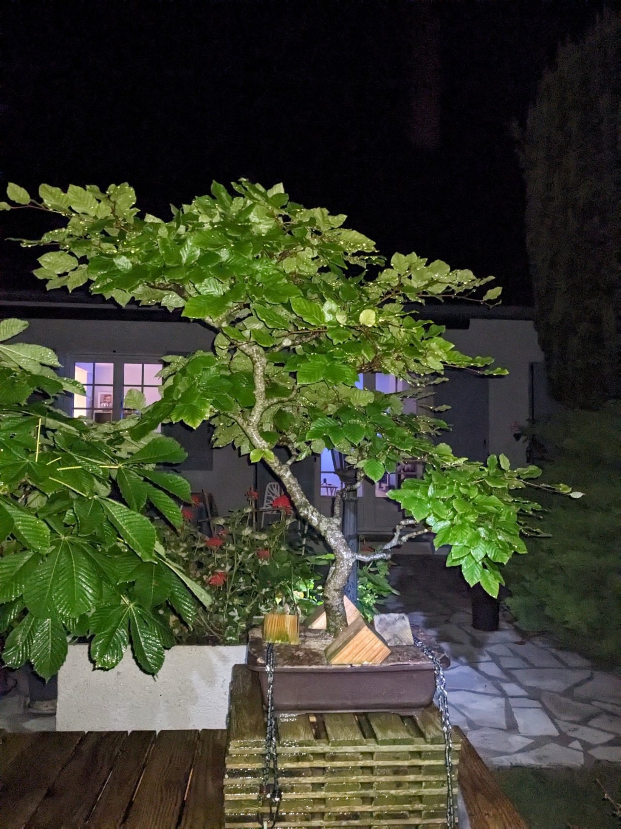 Photo 20