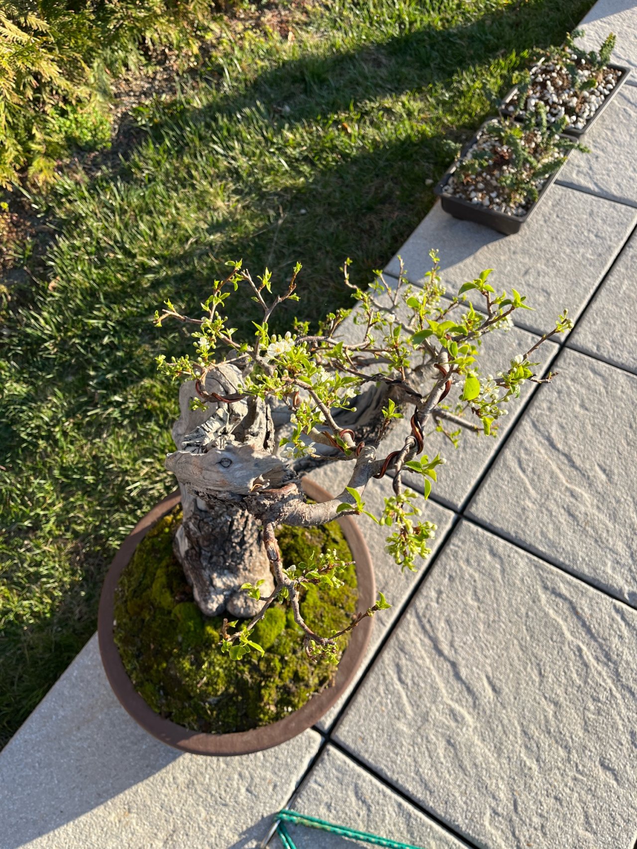 Photo 18