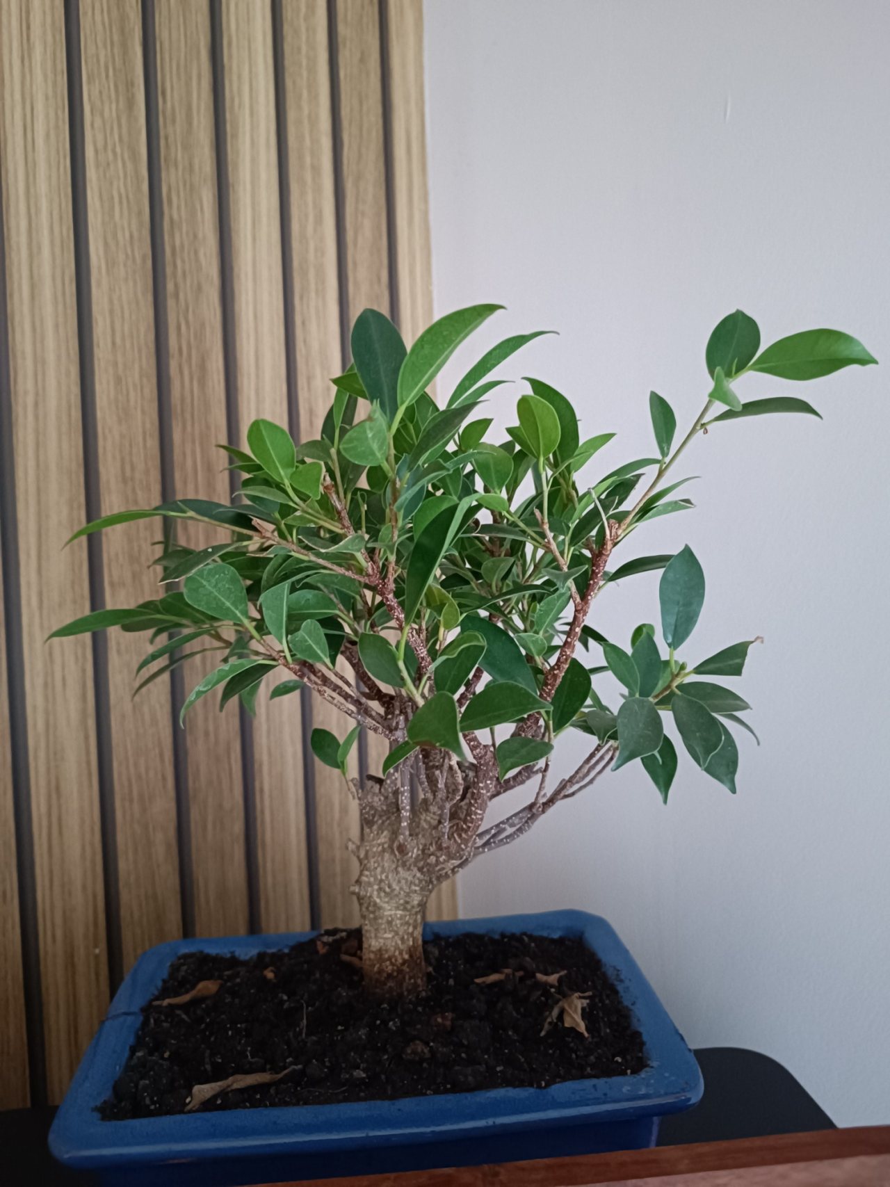 Photo 12