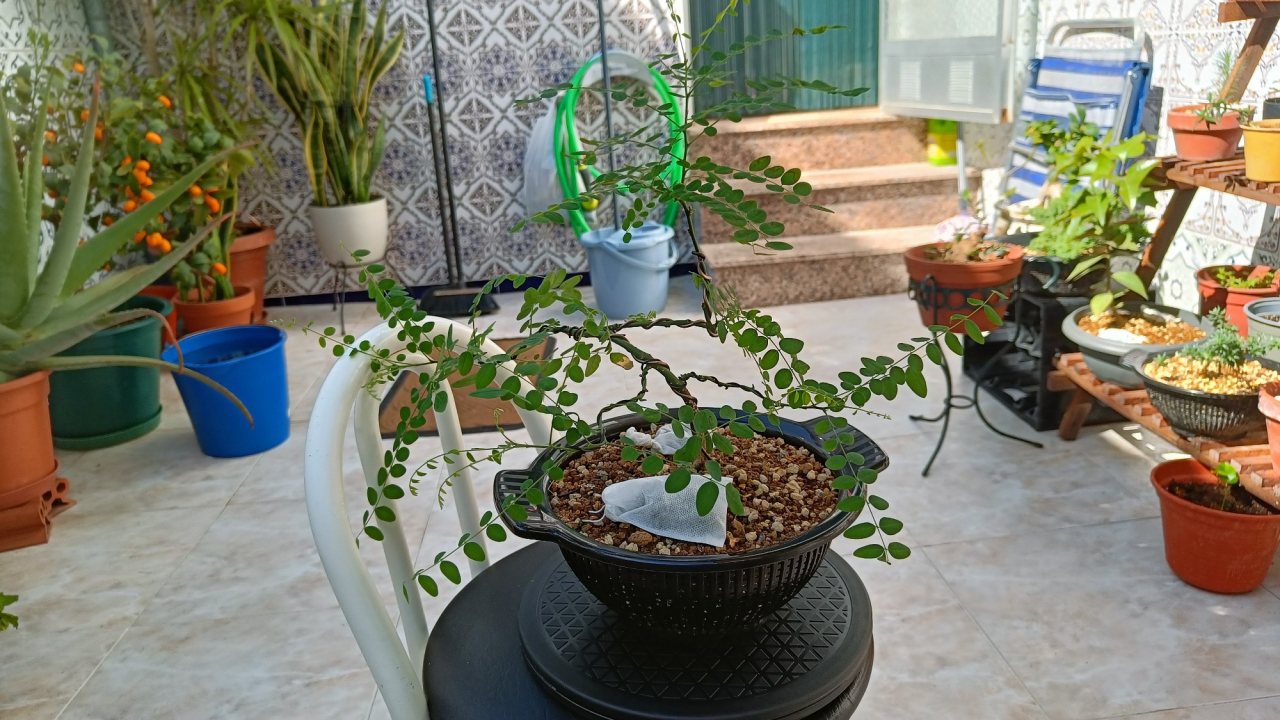 Photo 27