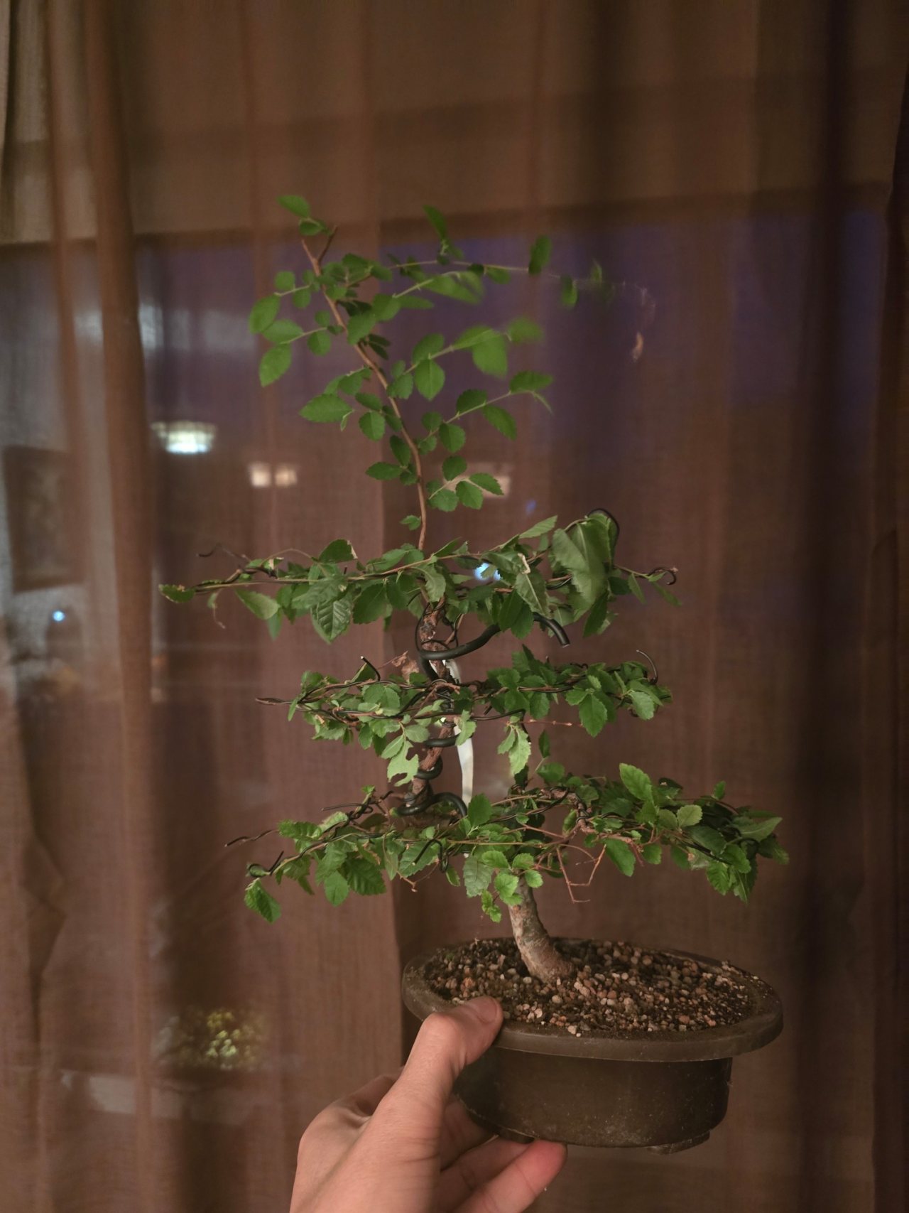 Photo 20