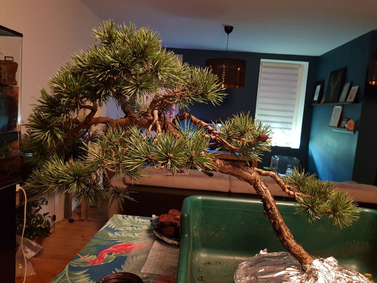 Photo 2