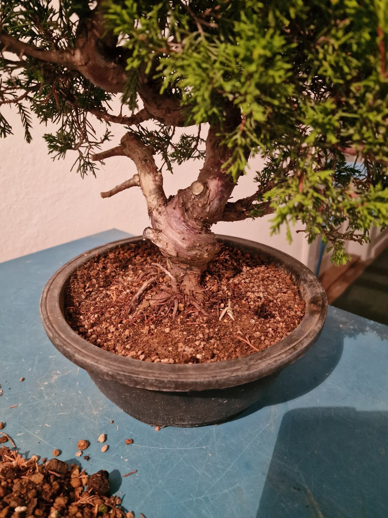 Photo 12