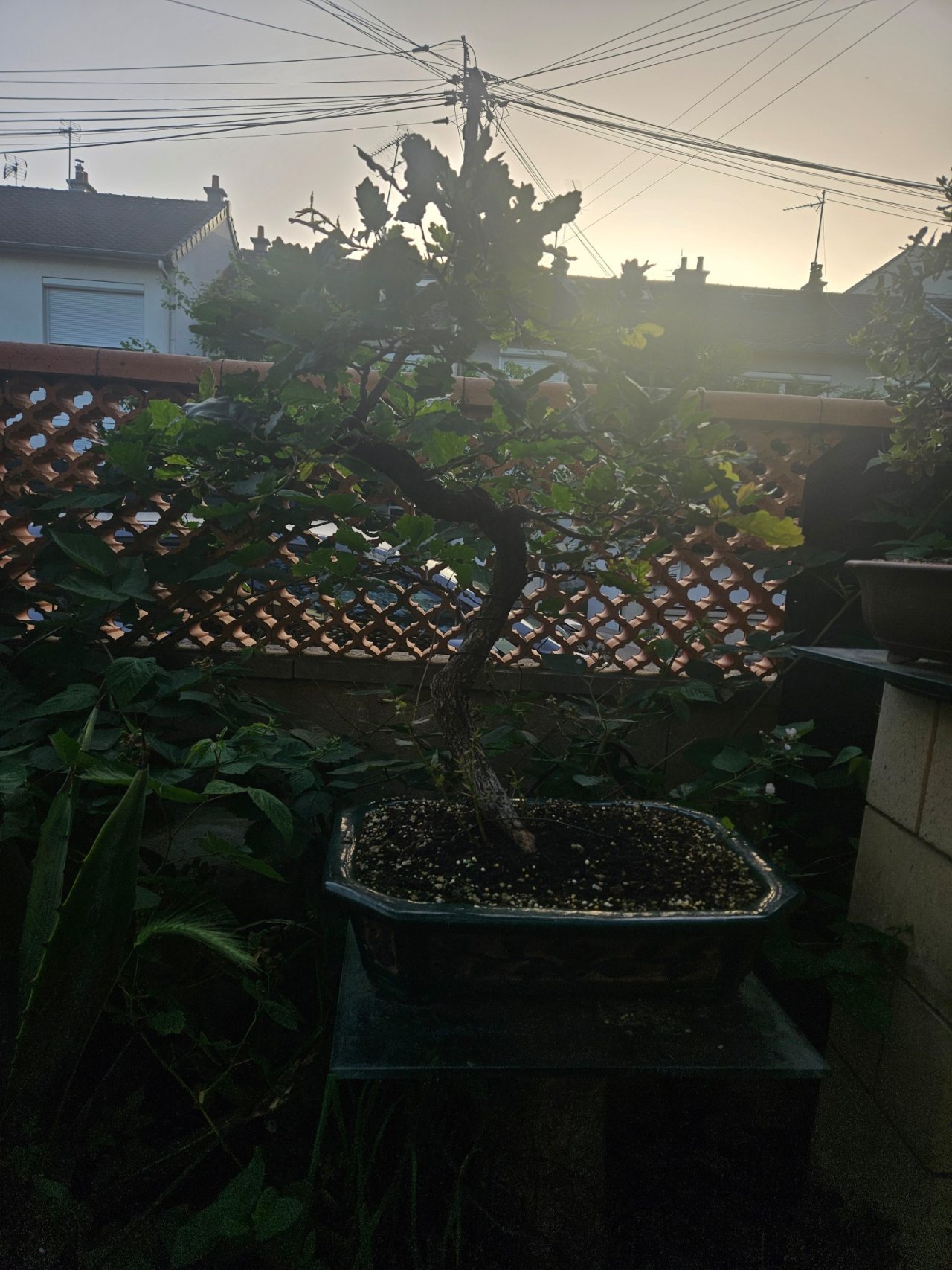 Photo 16
