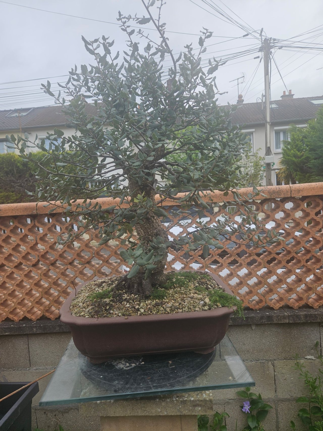 Photo 21