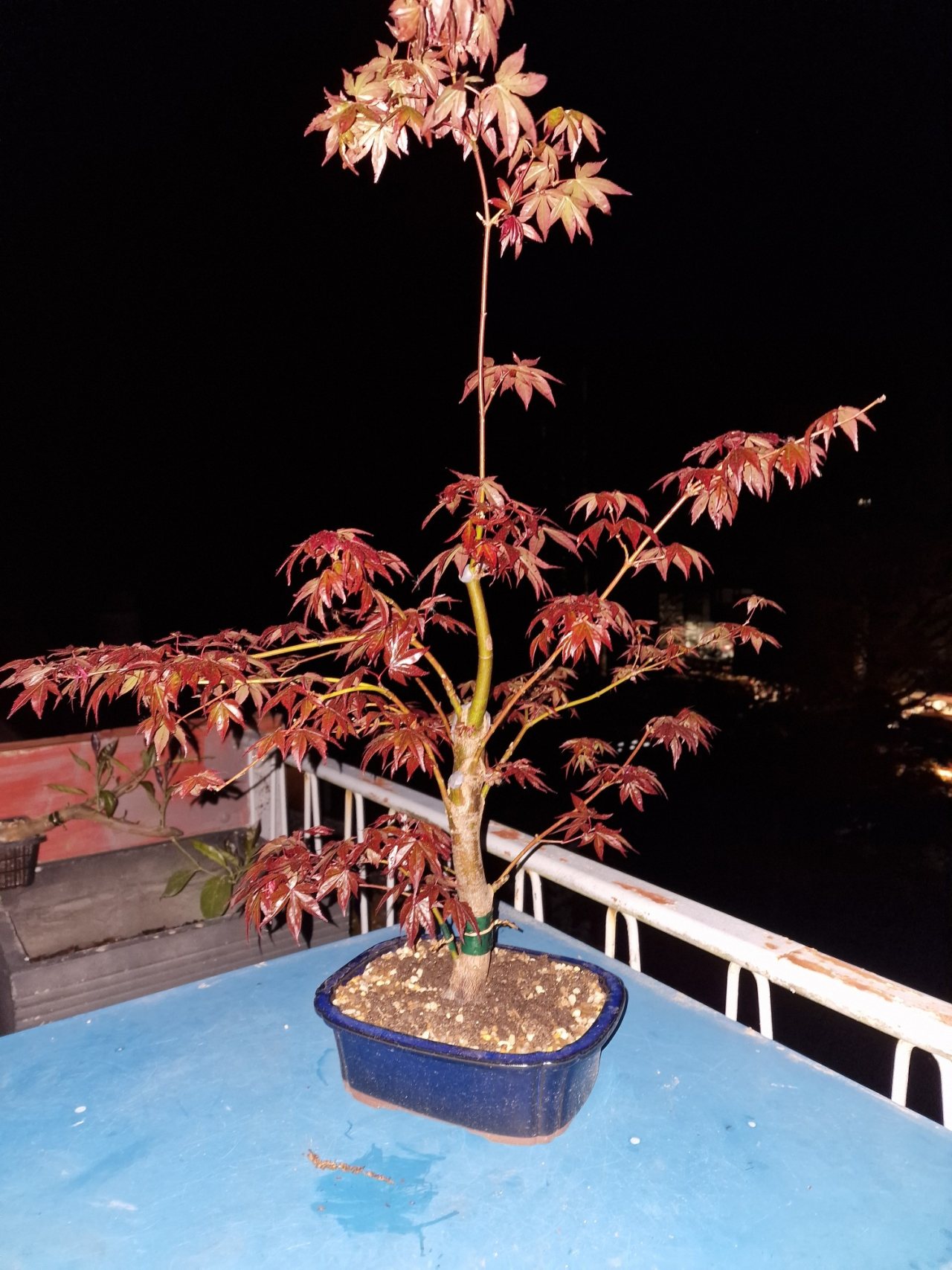 Photo 22