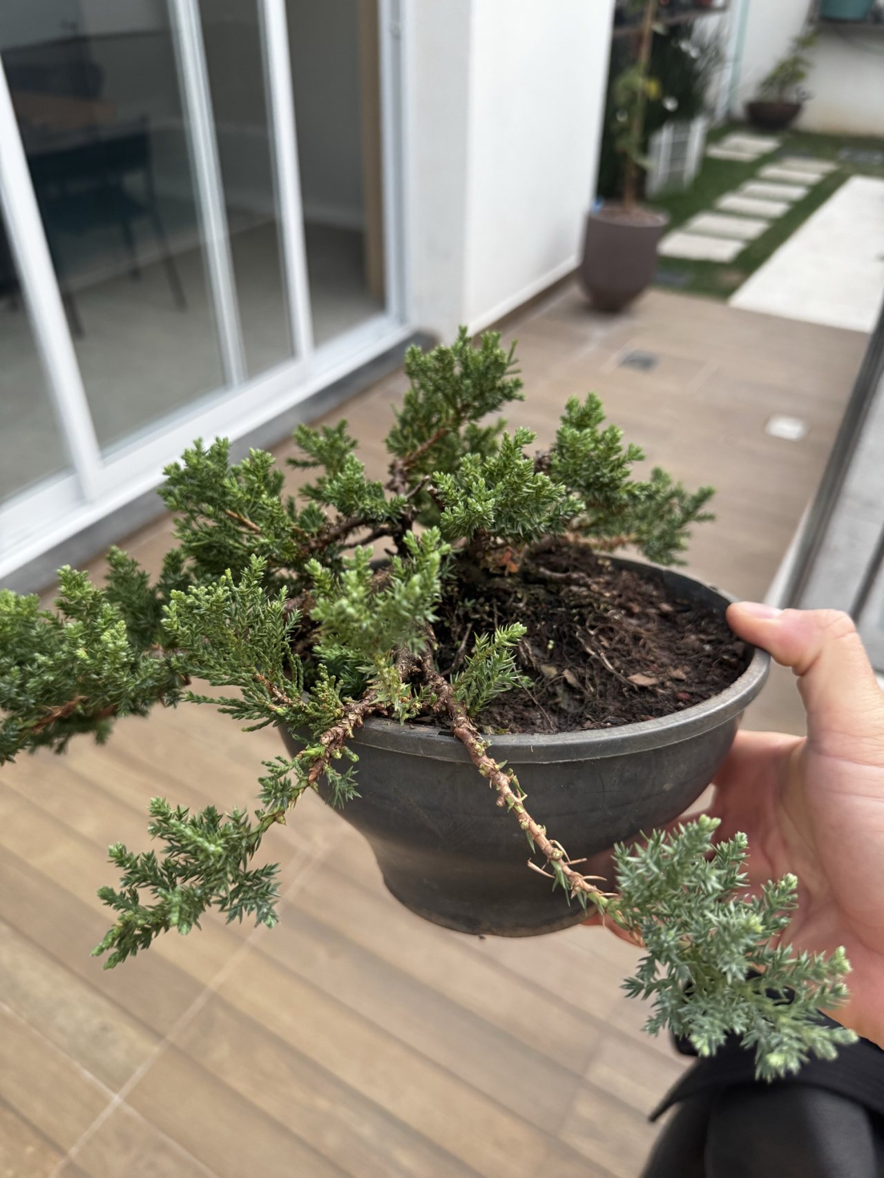 Photo 19