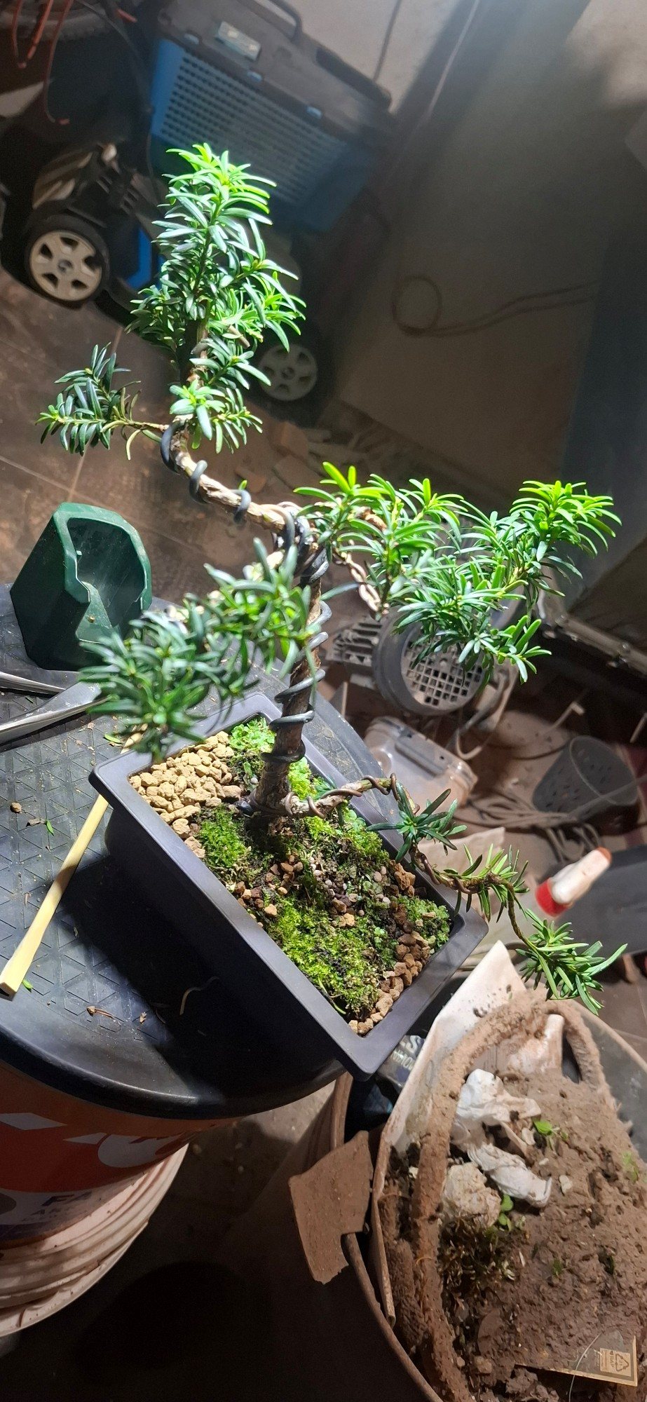 Photo 17