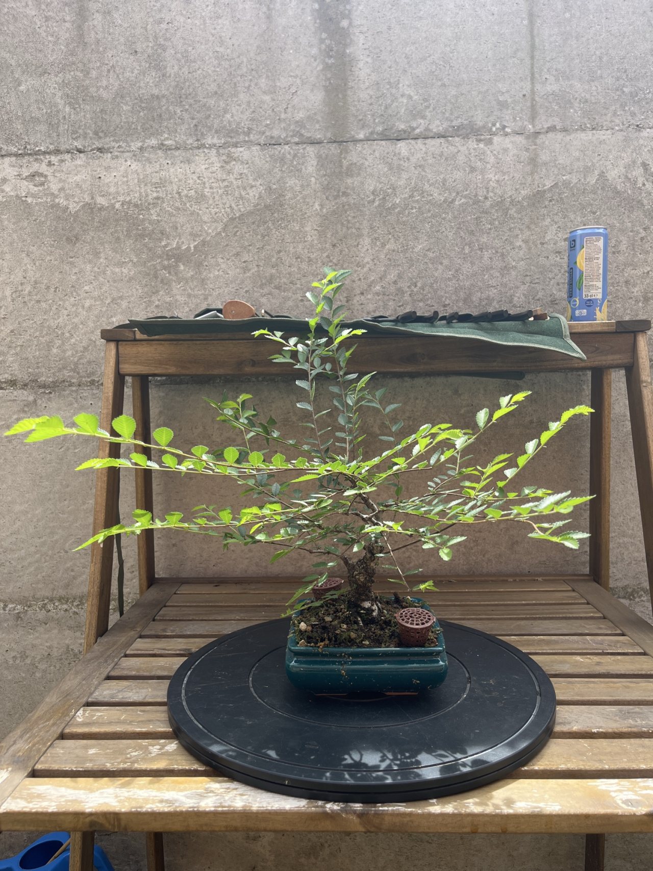 Photo 17