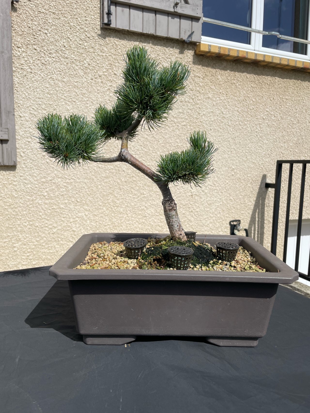 Photo 5
