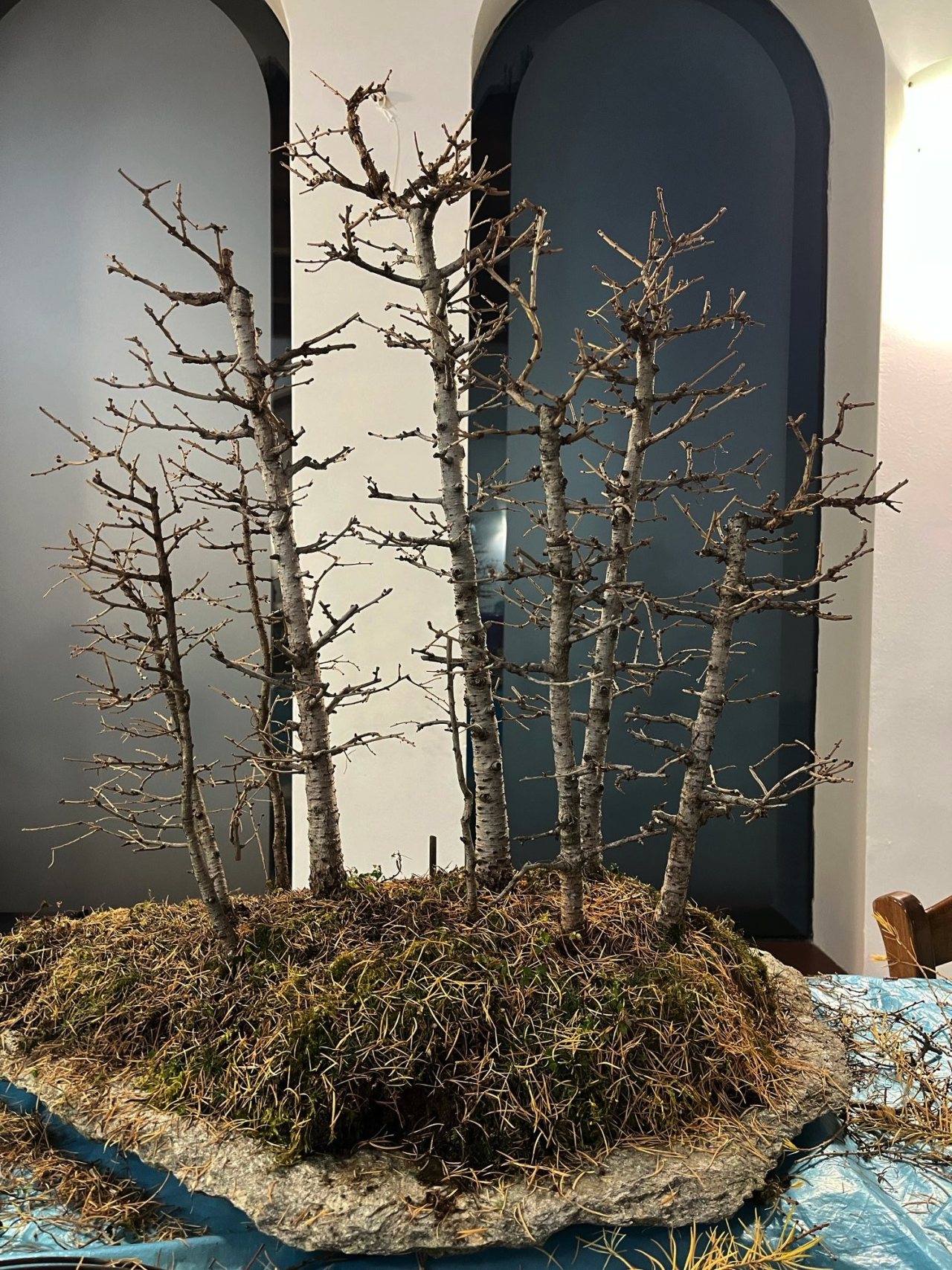 Photo 18