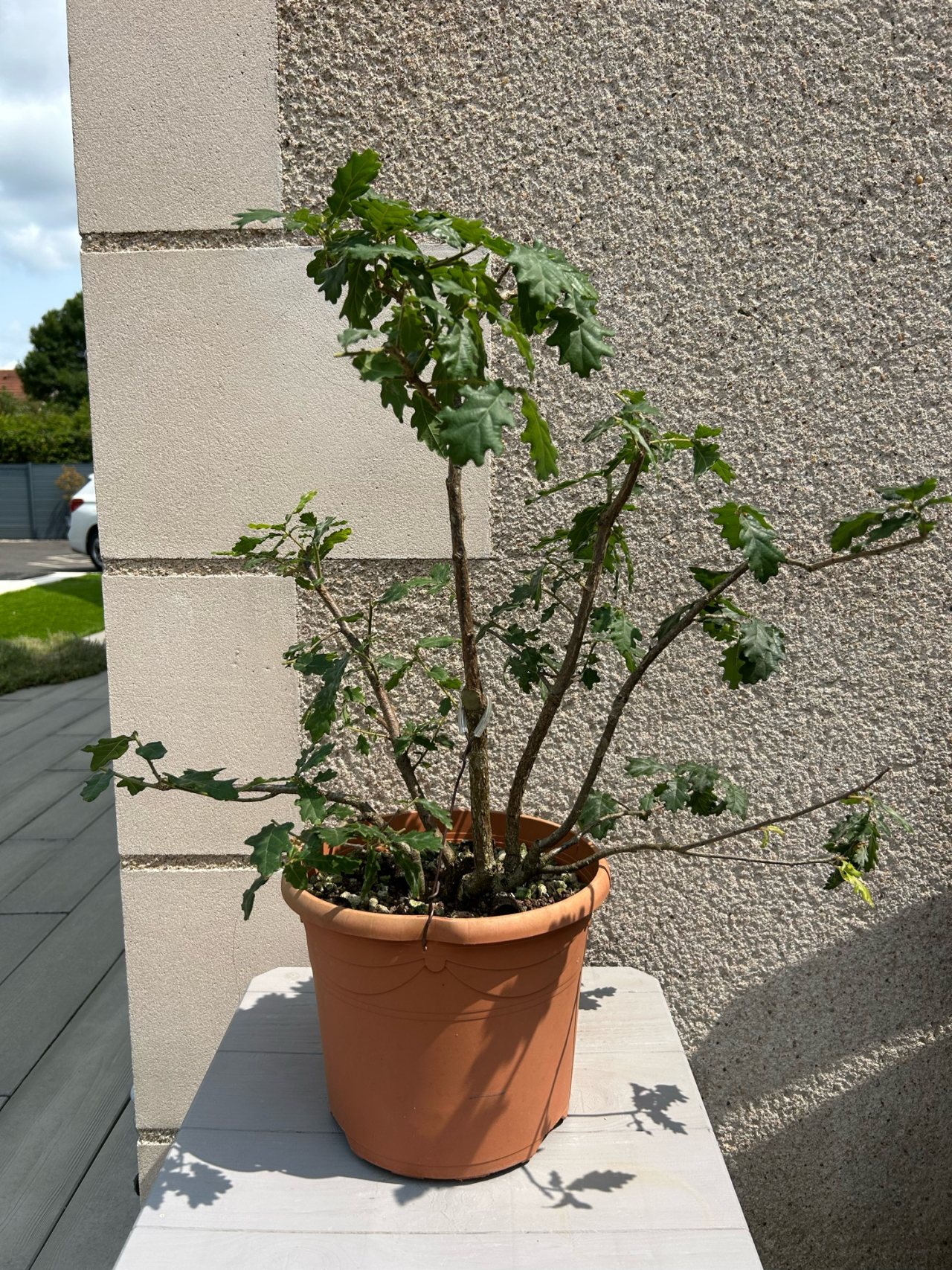 Photo 3