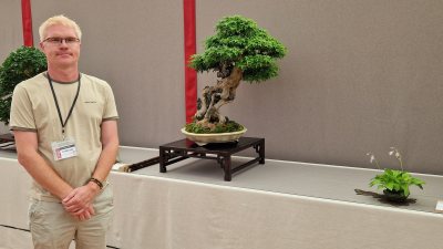 Acer buergerianum 05.05.2018