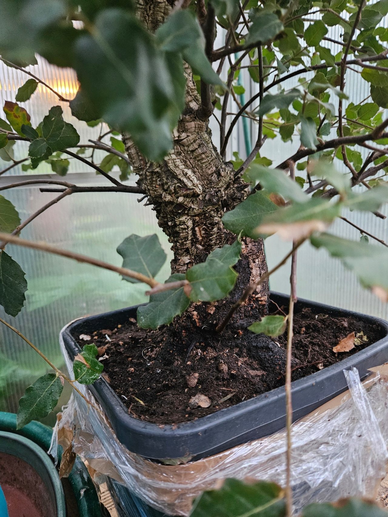 Photo 17