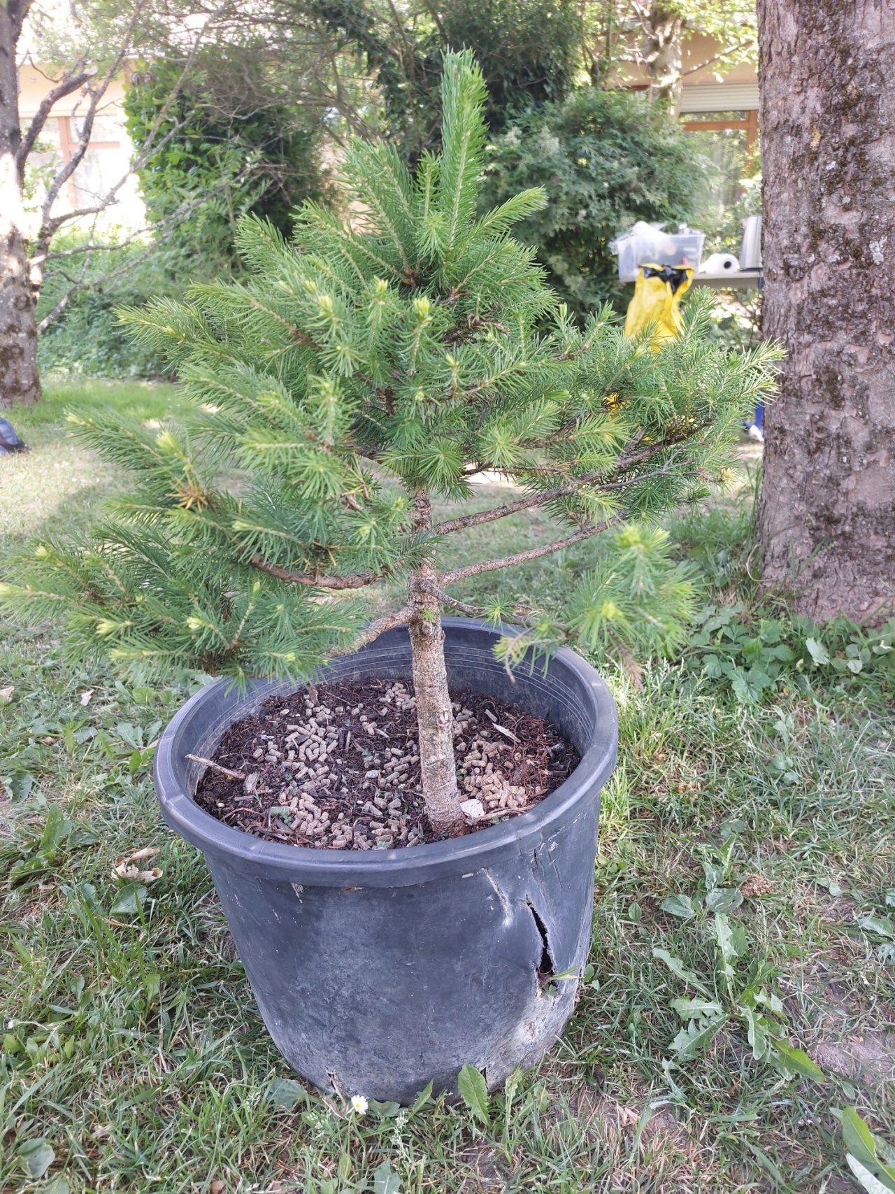 Photo 5