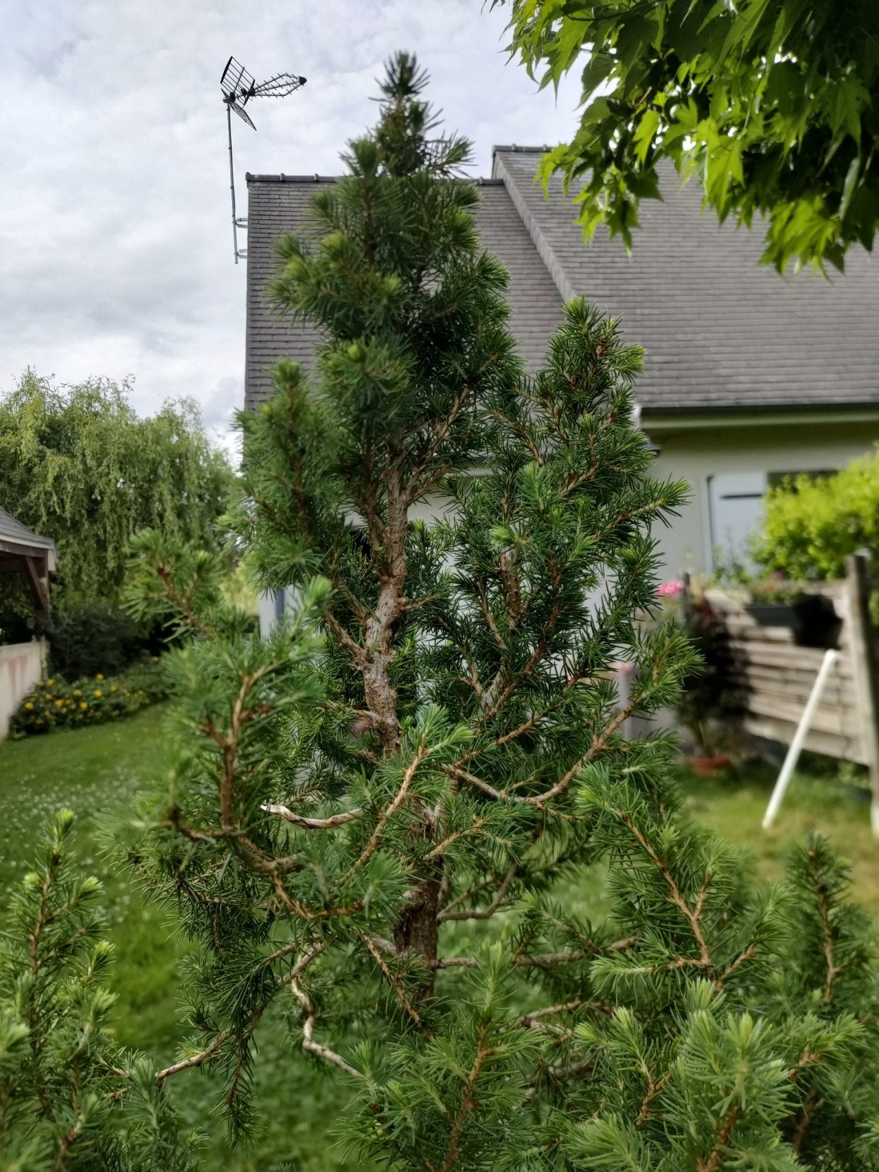 Photo 18