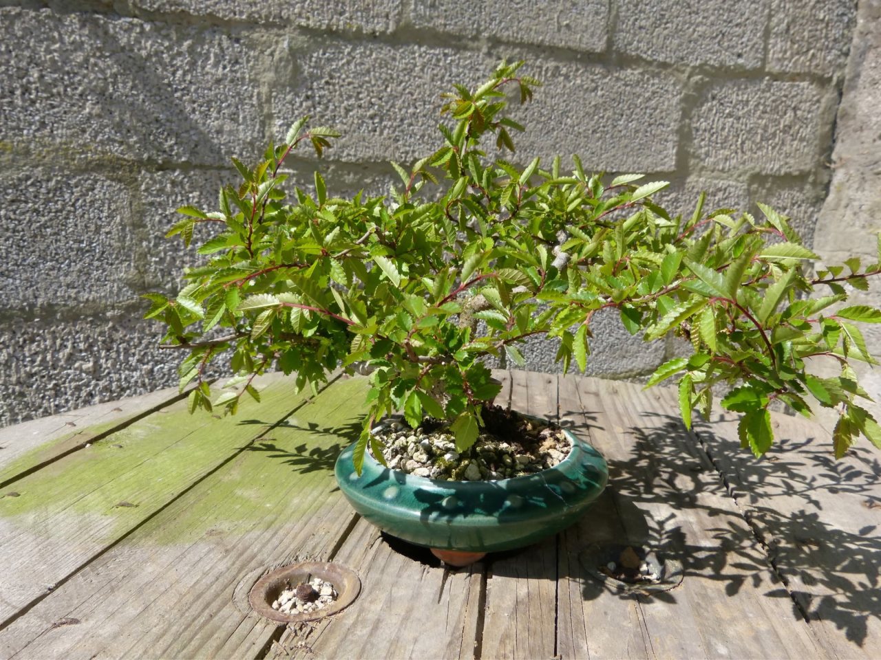 Photo 12