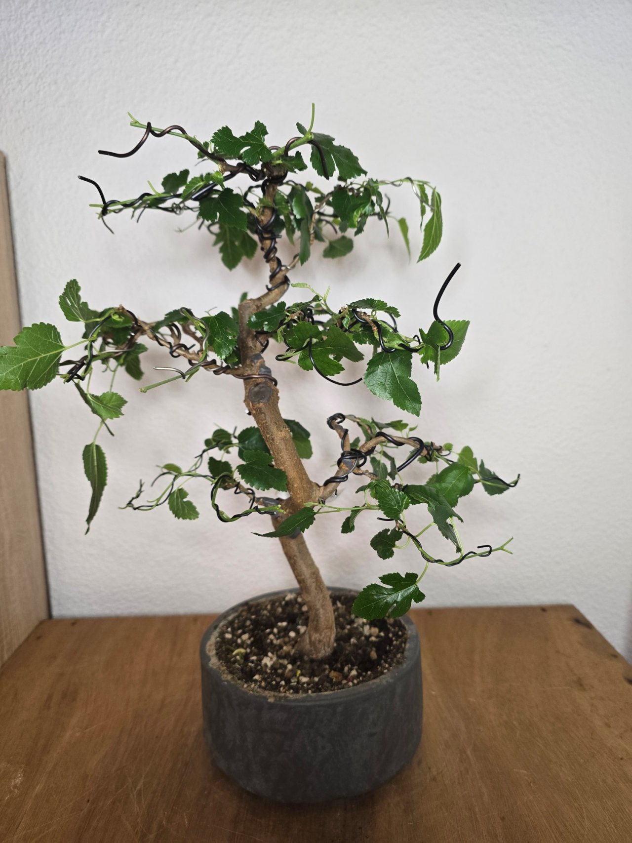 Photo 19