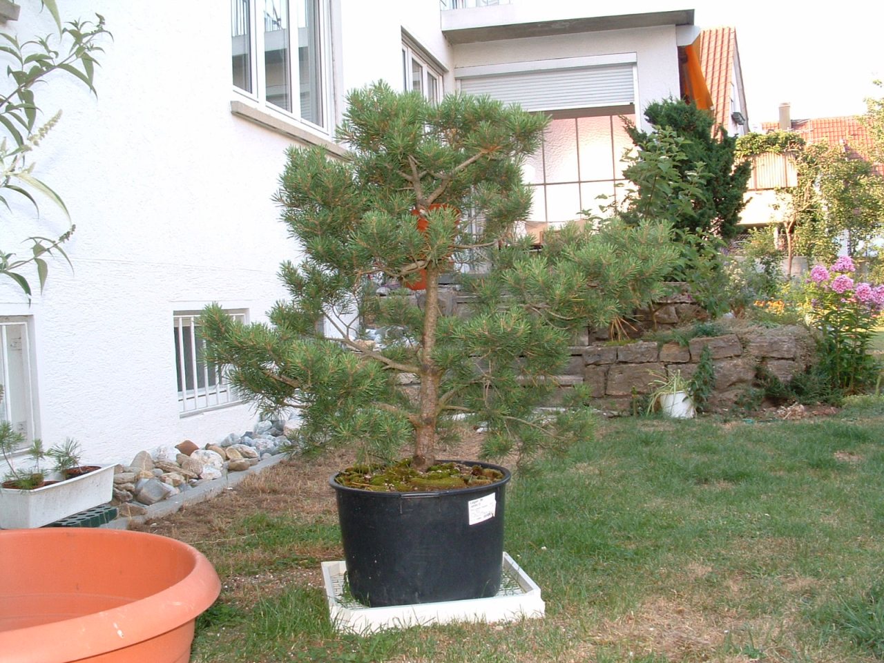 Photo 3