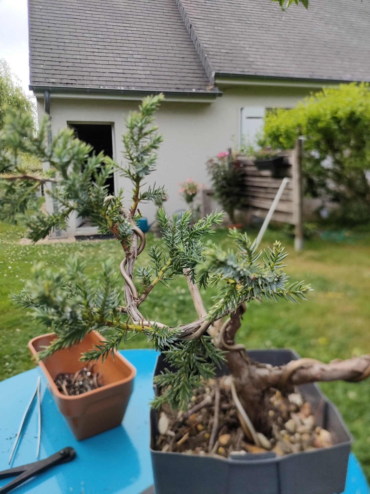 Photo 17