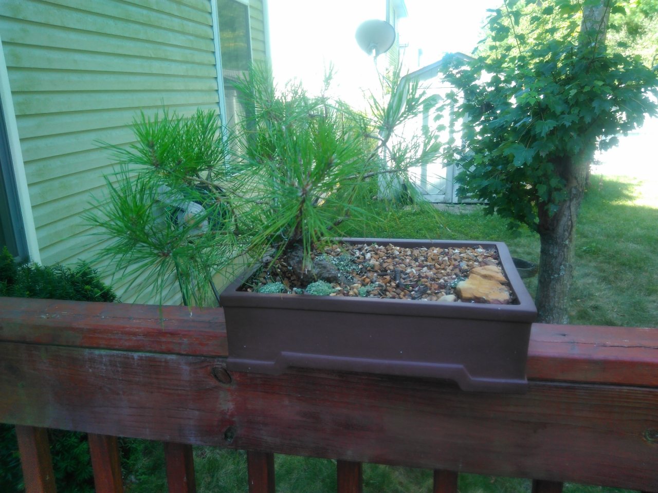 Photo 2