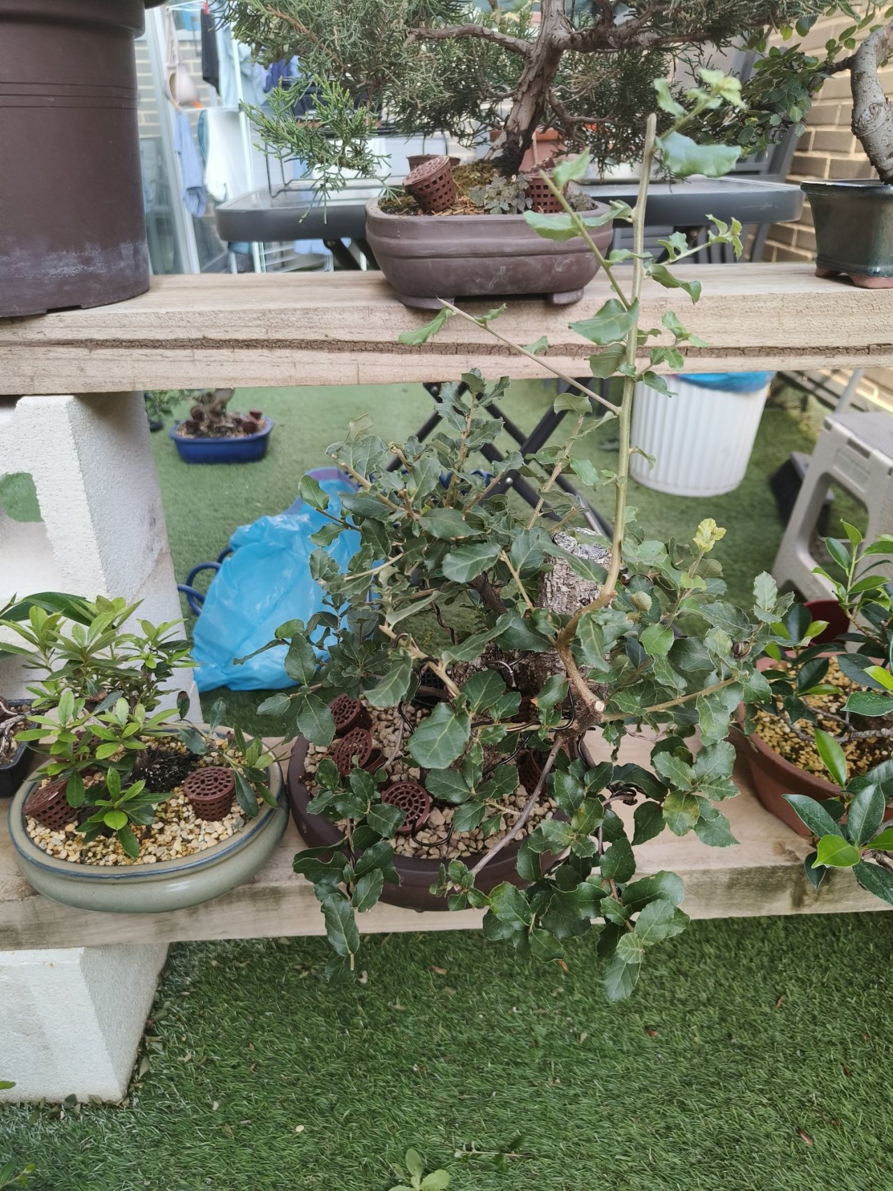 Photo 27