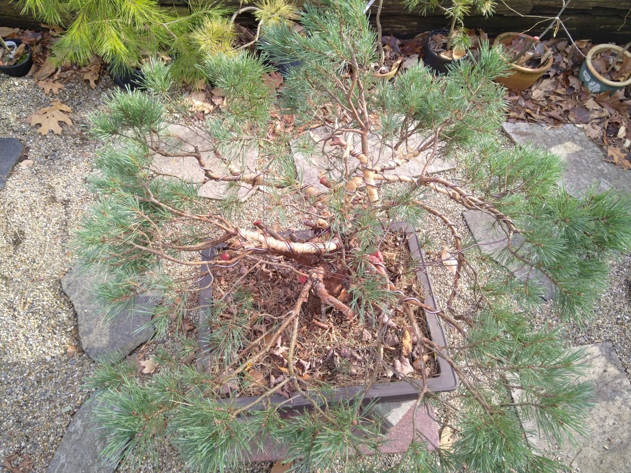 Photo 4