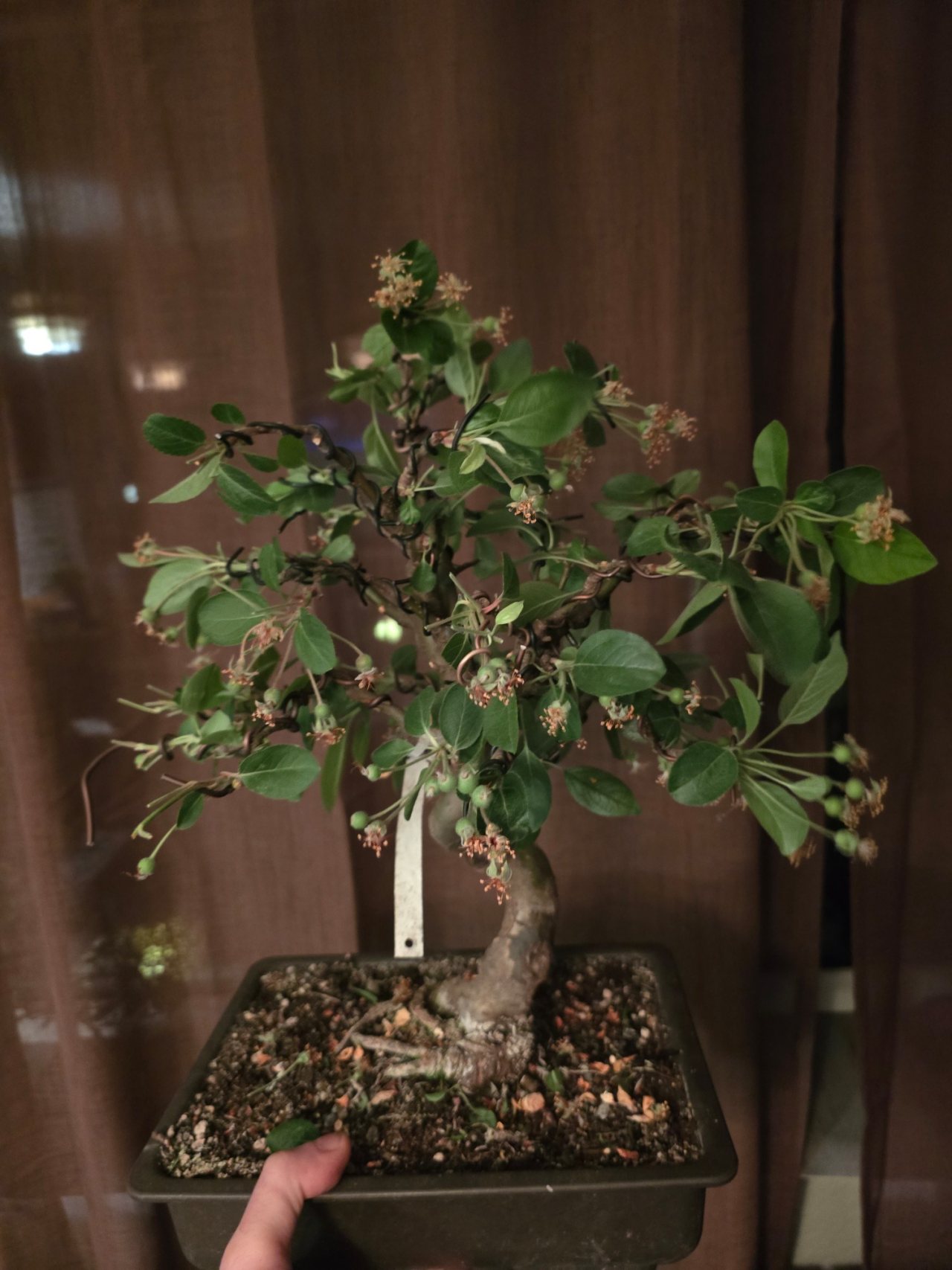 Photo 18