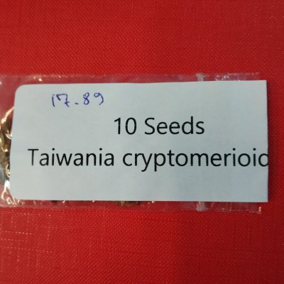 Тайвания криптомериевидная семена