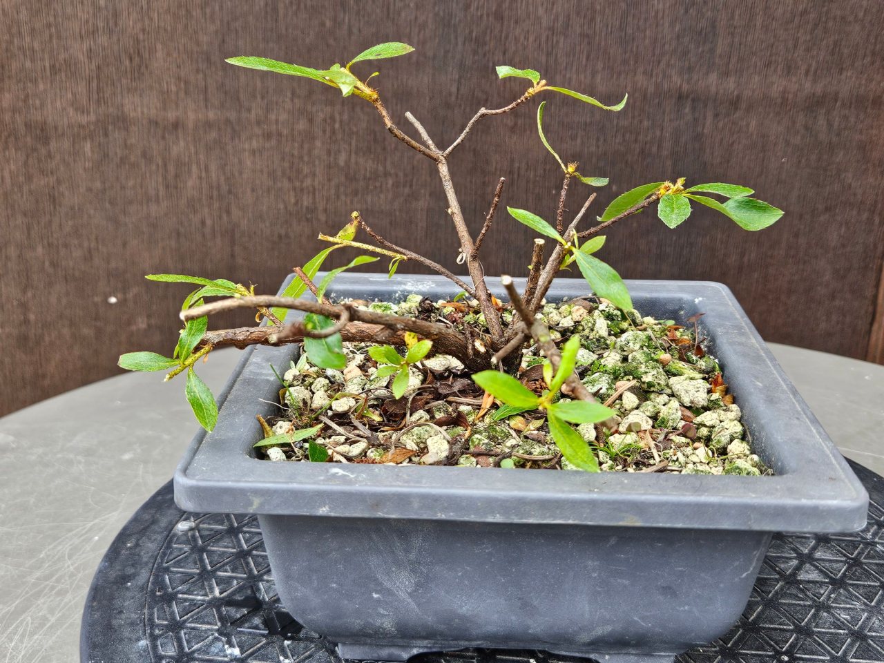 Photo 6