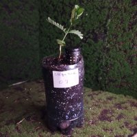 Ompotting - 05.01.2026 - Photo 1/1