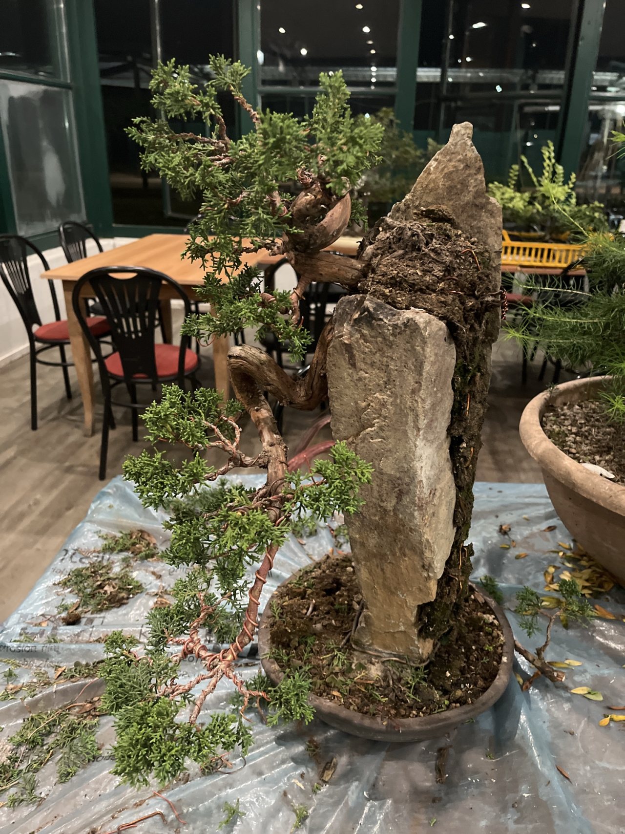 Photo 18