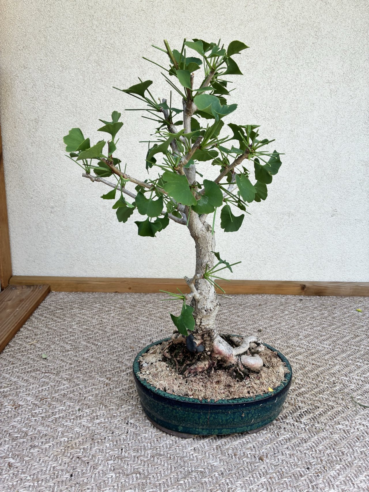 Photo 6