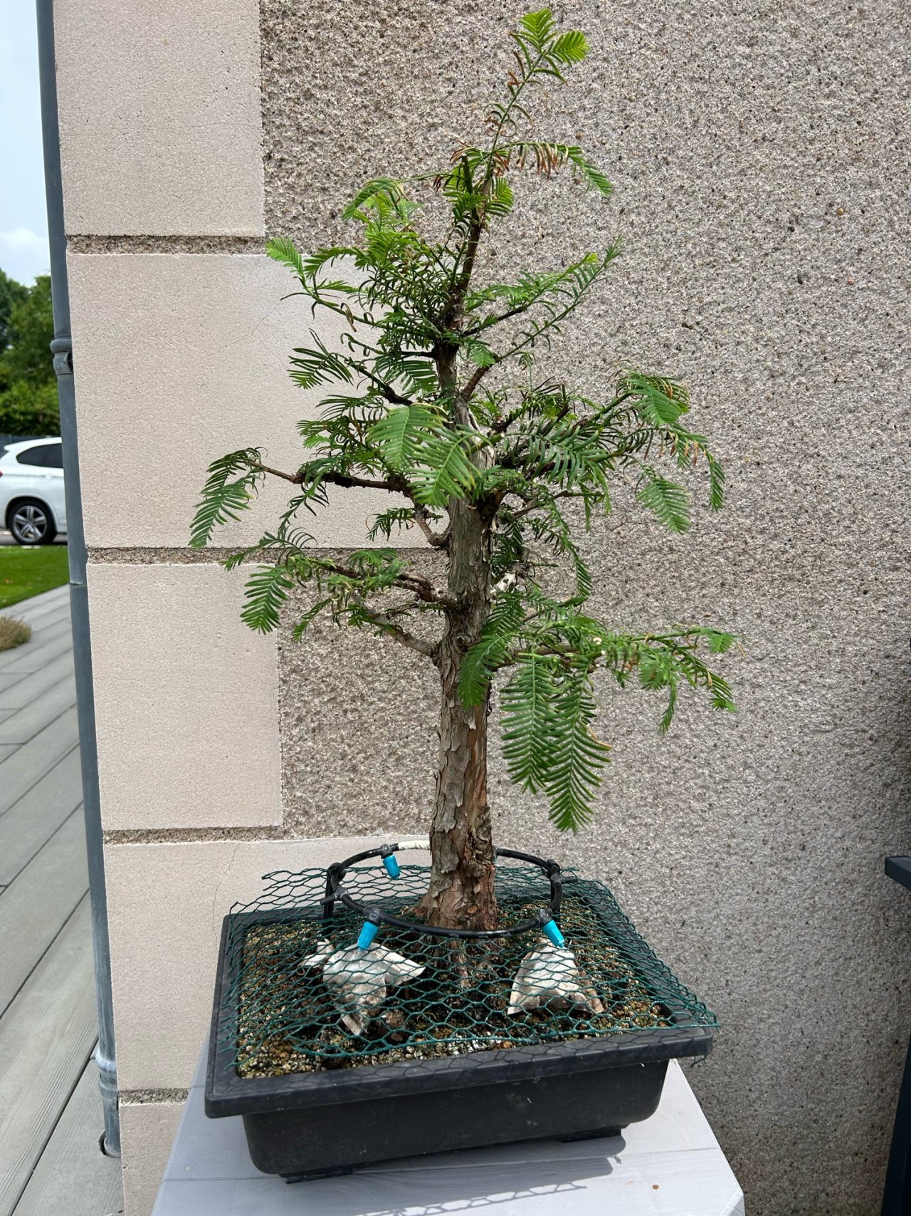 Photo 16